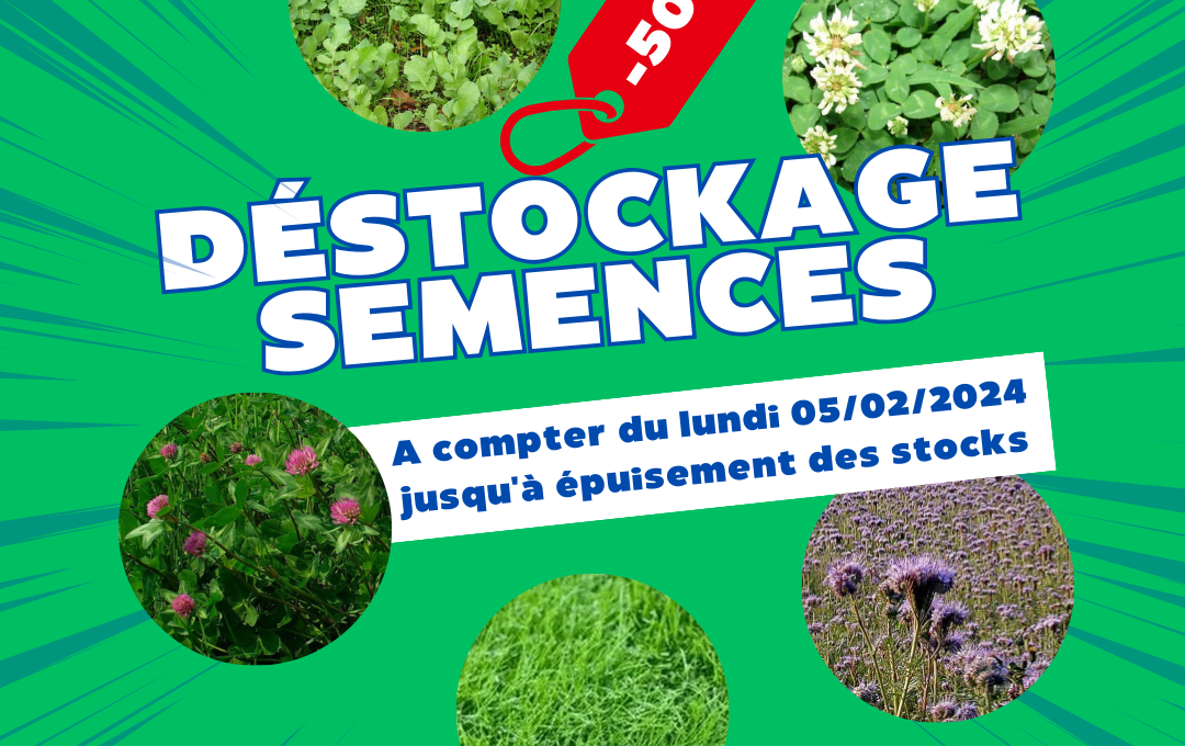 PROMOTION : DÉSTOCKAGE SEMENCES DE VÉGÉTAUX !