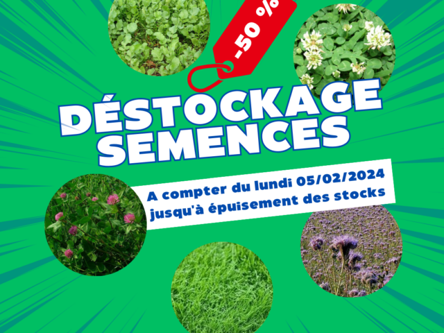 PROMOTION : DÉSTOCKAGE SEMENCES DE VÉGÉTAUX !